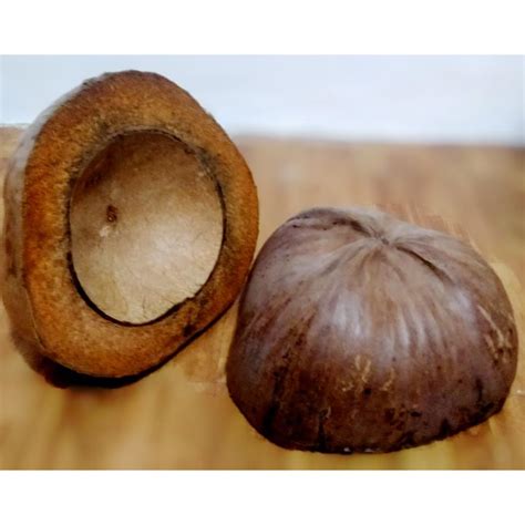 bunot in English .
